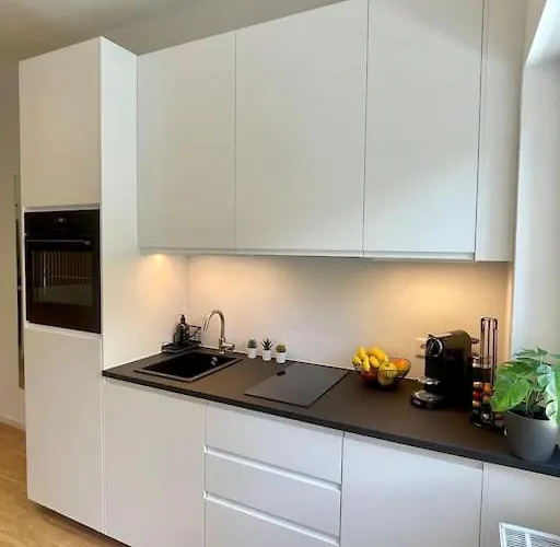 Modernes Im Zentrum Von Lejlighed